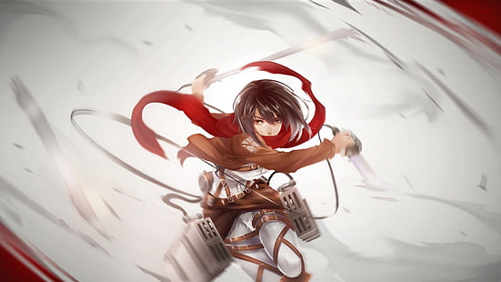 타이탄에 대한 공격 벽지, Shingeki no Kyojin, 애니메이션, 애니메이션 소녀, 미카사 애커 만, HD 배경 화면 HD wallpaper