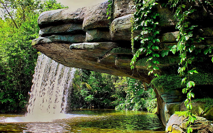木、自然、風景、滝、水に囲まれた滝、 HDデスクトップの壁紙