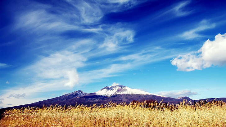 alam, pemandangan, gunung, awan, puncak bersalju, bidang, gandum, Wallpaper HD