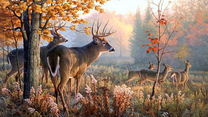 鹿、クワガタ、自然、アート、フィールド、絵画、 HDデスクトップの壁紙