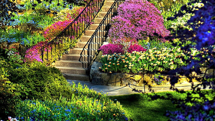 Little Spring In The Steps, garden of plants and flowers, spring, colors, flowers, park, steps, nature and landscapes, HD wallpaper