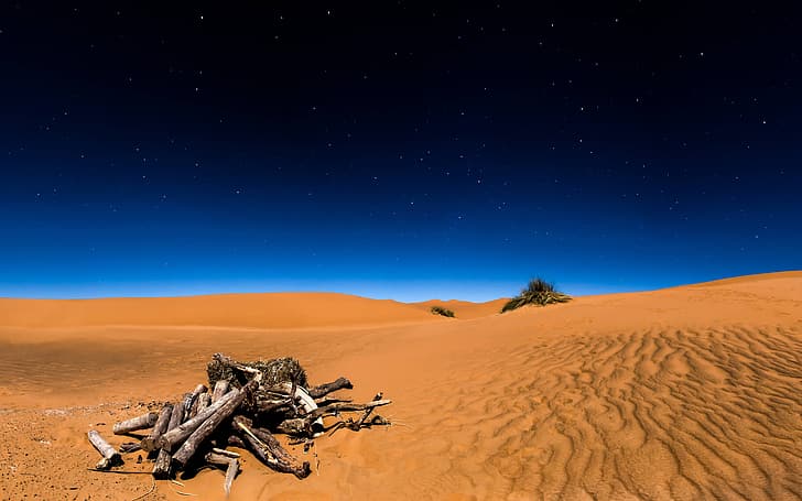 الرمال ، السماء ، النجوم ، الليل ، الصحراء ، الصحراء ، الأخشاب الطافية ، الصحراء الكبرى ، السكر، خلفية HD