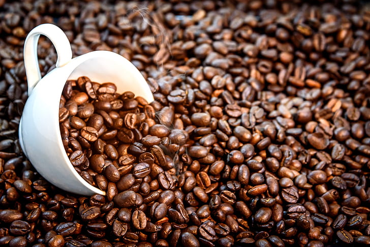 Food, Coffee, Coffee Beans, Cup, Pet, HD wallpaper