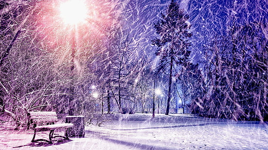 winter, evening, park, bench, snowing, HD wallpaper HD wallpaper