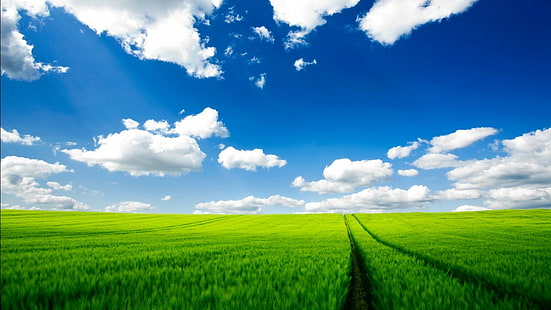 Paisagem, campo, campo verde, primavera, céu, nuvens, paisagem, campo, campo verde, primavera, céu, nuvens, HD papel de parede HD wallpaper