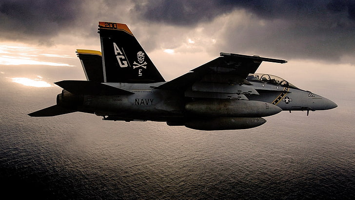 avião de caça cinza, caças a jato, Boeing F / A-18E / F Super Hornet, HD papel de parede