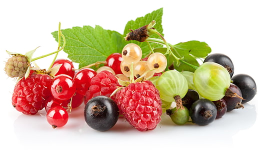 currants, berries, raspberries, blueberries, gooseberries, HD wallpaper HD wallpaper