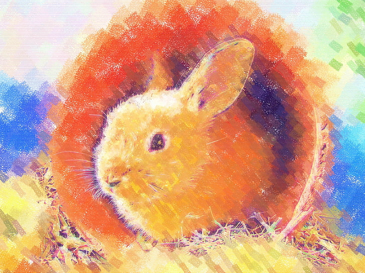 rabbits, painting, colorful, HD wallpaper