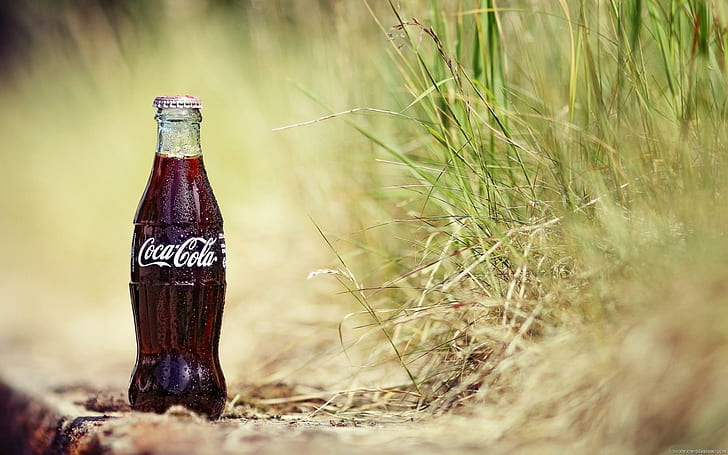Coca Cola-Flasche auf dem Gebiet, Klarglas-Coca Cola-Flasche, Marke, Coca, Flasche, Gras, Kolabaum, HD-Hintergrundbild