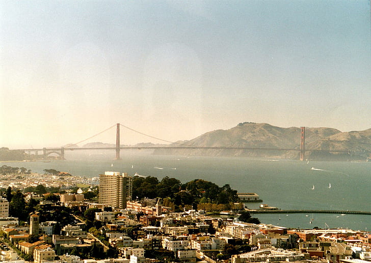Сан-Франциско - Мост Золотые Ворота, мост Золотые Ворота, Калифорния, Сан-Франциско, животные, HD обои