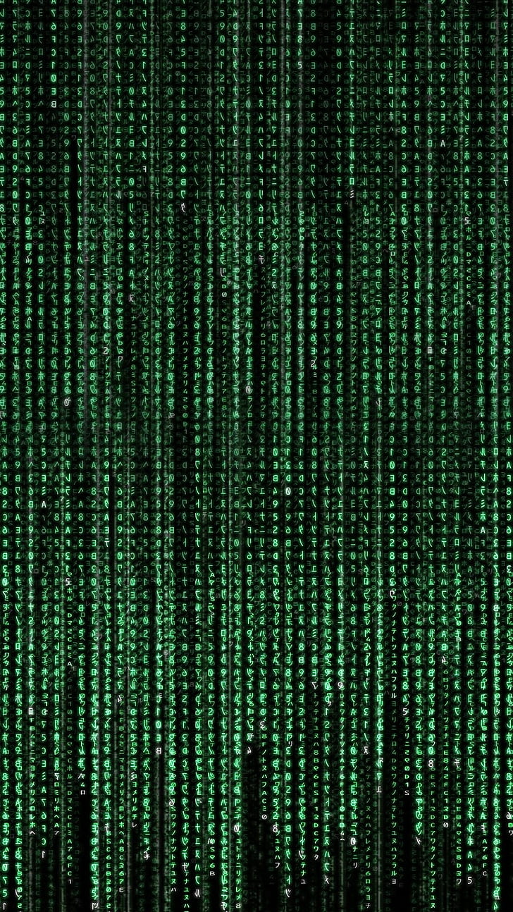 tampilan potret seni digital cgi teks matriks jatuh karakter Cina hijau latar belakang hitam, Wallpaper HD, wallpaper seluler