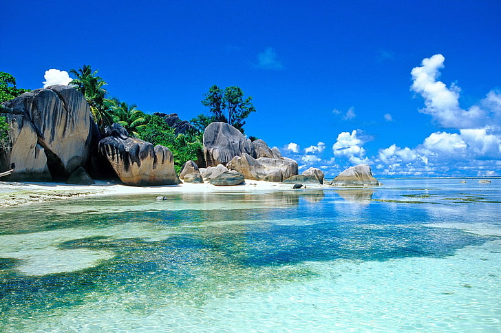 Earth, Seashore, Holiday, Lagoon, Palm Tree, Sea, Seychelles, Seychelles Islands, Tropical, Tropics, HD wallpaper