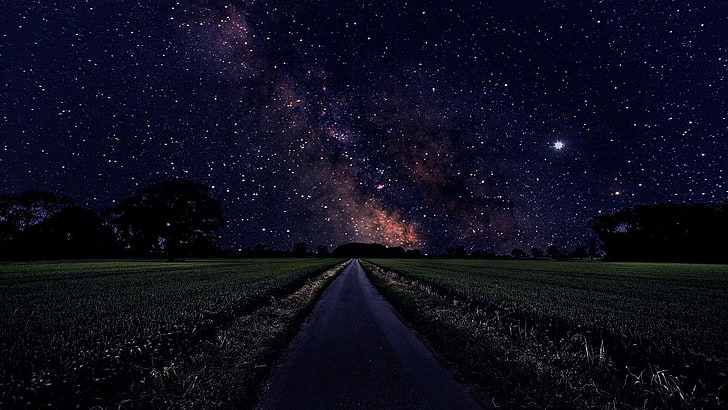 estrellas, hierba, árboles, noche, camino, estrellado, noche estrellada, Fondo de pantalla HD