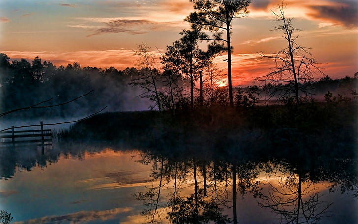 nascer do sol névoa árvores pântano reflexão natureza paisagem florida céu nuvens água, HD papel de parede