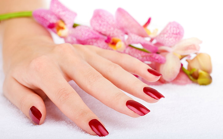 dłonie-paznokcie-paznokcie-manicure-kwiaty, Tapety HD