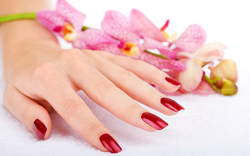 hands-nails-finger-manicure-flowers, HD wallpaper HD wallpaper