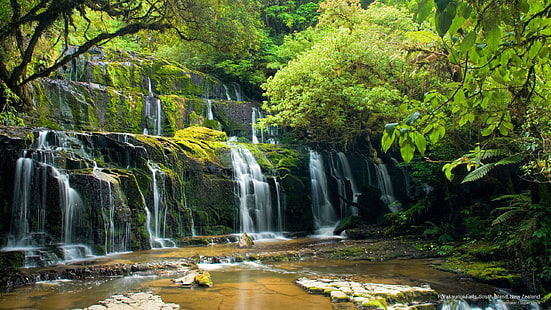 Purakaunui Falls, 남섬, 뉴질랜드, 오세아니아, HD 배경 화면 HD wallpaper
