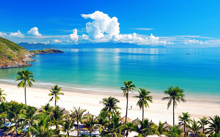 plaża, palmy, tropikalna, Tapety HD
