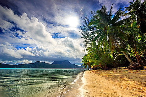 mar, isla, palmeras, luz solar, Bora Bora, naturaleza, playa, paisaje, Polinesia francesa, nubes, tropical, Fondo de pantalla HD HD wallpaper