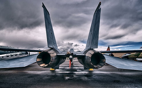 F14 Tomcat Belakang, raptor f-22, jet fighter, tomcat, belakang, pesawat terbang, Wallpaper HD HD wallpaper