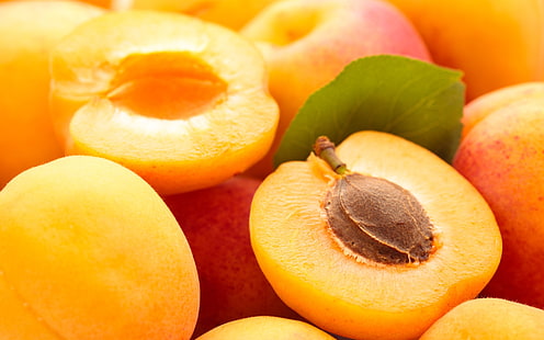 Abricots, fruits, Fond d'écran HD HD wallpaper