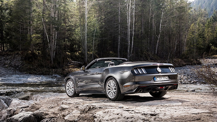 black Ford Mustang coupe, Ford Mustang, car, Convertible, forest, HD wallpaper