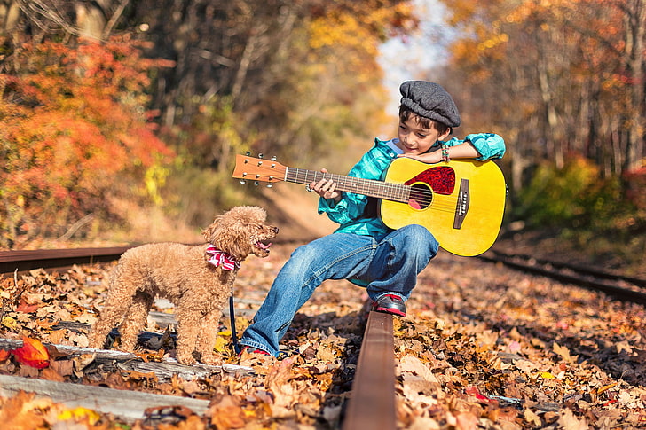 yellow dreadnought acoustic guitar, road, autumn, forest, nature, rails, guitar, dog, boy, child, poodle, HD wallpaper