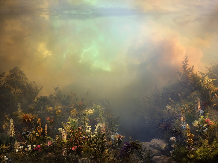 berwarna-warni, awan, langit, bunga, tanaman, alam, pemandangan, Wallpaper HD