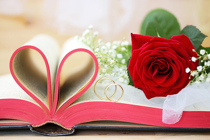 red rose and two gold-colored rings, rose, book, gold, wedding, flowers, engagement rings, wedding rings, HD wallpaper