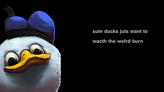 Enten lustig Meme Dolan Tiere Enten HD Art, Enten, lustig, Meme, Dolan, HD-Hintergrundbild HD wallpaper