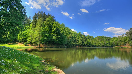 Dreamscape celeste, lago, alberi lussureggianti, cieli blu, erba verde, bello, 3d ed estratto, Sfondo HD HD wallpaper
