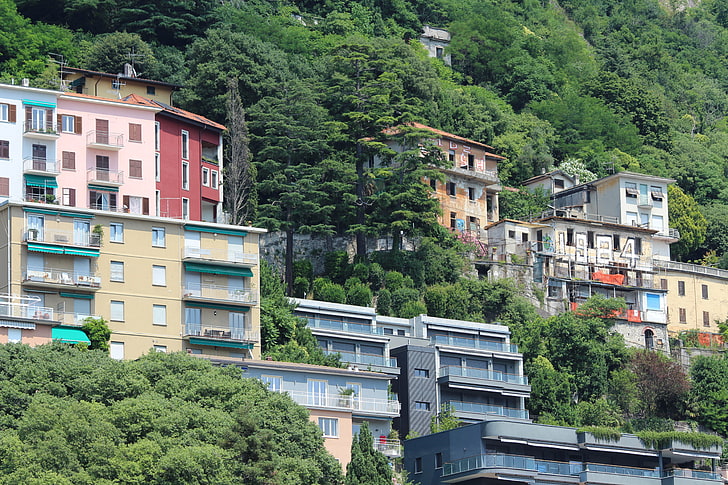 Italia, edificio, verde, Sfondo HD