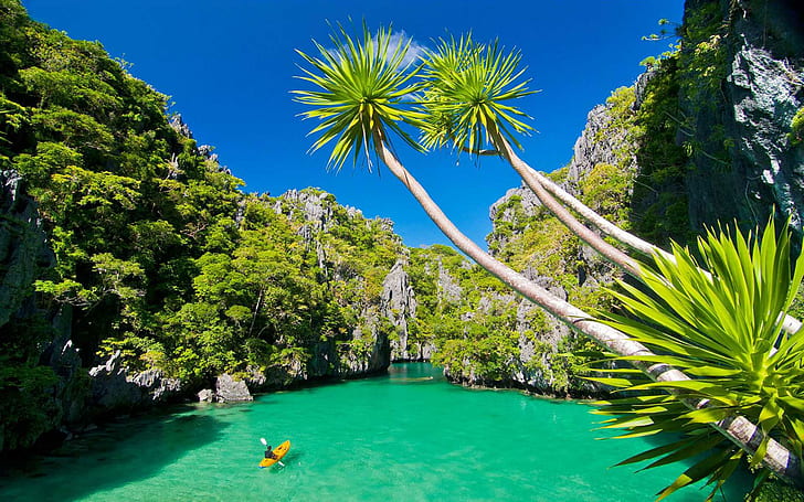 Filippinerna Stilla havet Palawan Den vackraste ön i världen Tropiska tapeter Hd 1920 × 1200, HD tapet