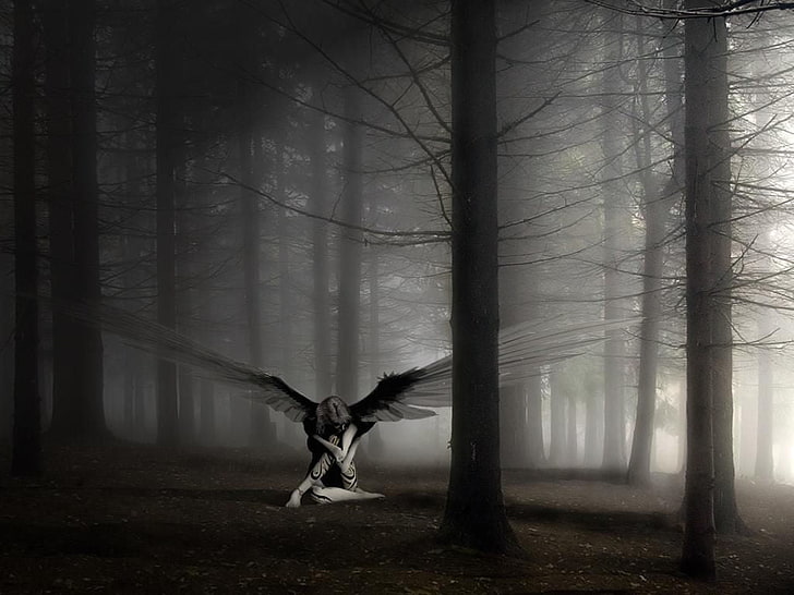Wanita dengan sayap duduk di wallpaper hutan, malaikat, gelap, sayap, seni fantasi, Wallpaper HD