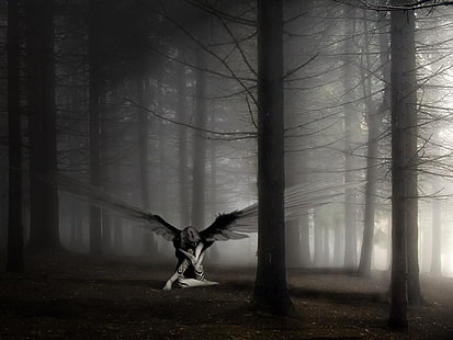kvinna med vingar som sitter i skogen tapet, ängel, mörk, vingar, fantasikonst, HD tapet HD wallpaper