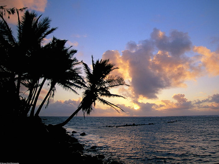 landscape, sea, palm trees, tropical, coast, sunset, HD wallpaper