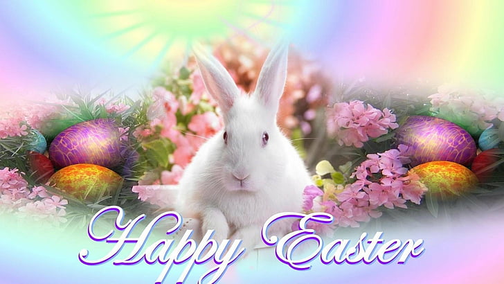 Holiday, Easter, Bunny, Easter Egg, Happy Easter, Rabbit, HD wallpaper