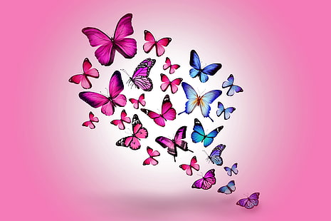 Разноцветные бабочки, бабочка, рисунок, полет, красочный, фон, розовый, HD обои HD wallpaper