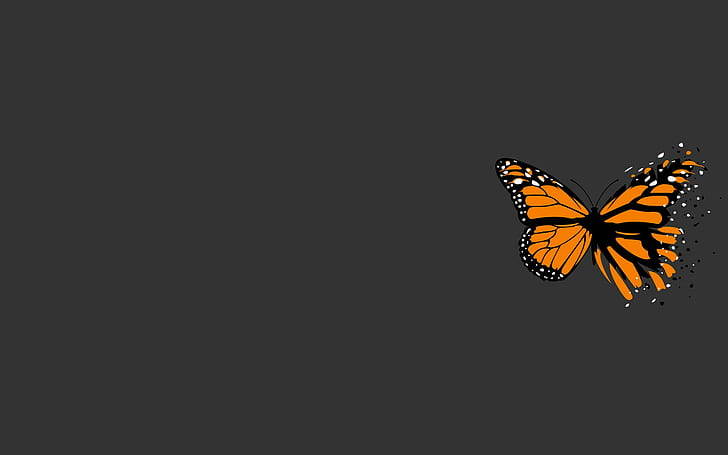 sztuka cyfrowa proste tło minimalizm motyl proste rozpryski farby skrzydła żółte szare tło, Tapety HD