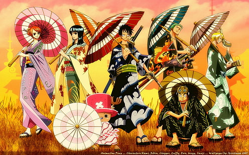 One Piece, anime, Nami, Nico Robin, Tony Tony Chopper, Monkey D. Luffy, Roronoa Zoro, Usopp, Sanji, Fondo de pantalla HD HD wallpaper