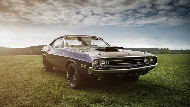 dodge challenger, cars, vintage cars, 4k, hd, muscle cars, HD wallpaper