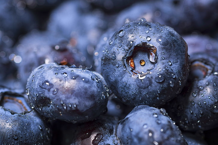blueberry, blueberries, berries, drops, macro, HD wallpaper