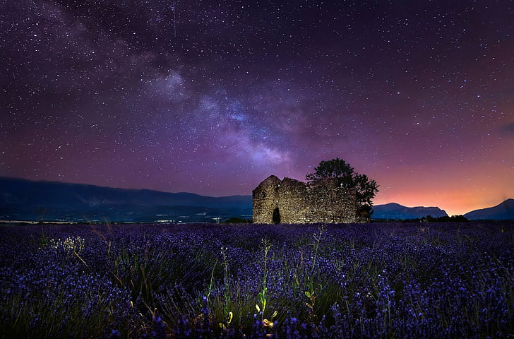 Flowers, Lavender, Field, Flower, Night, Purple Flower, Ruin, Sky, Starry Sky, HD wallpaper