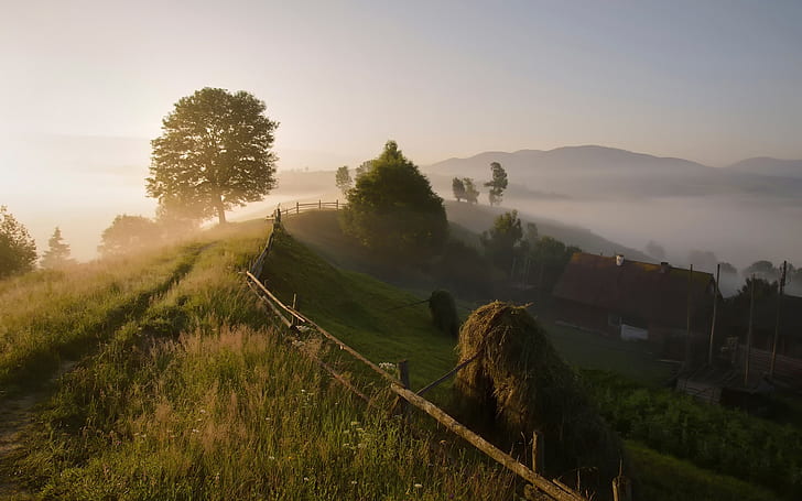 Carpathian mountains, trees, countryside, morning, fog, summer, Carpathian, Mountains, Trees, Countryside, Morning, Fog, Summer, HD wallpaper