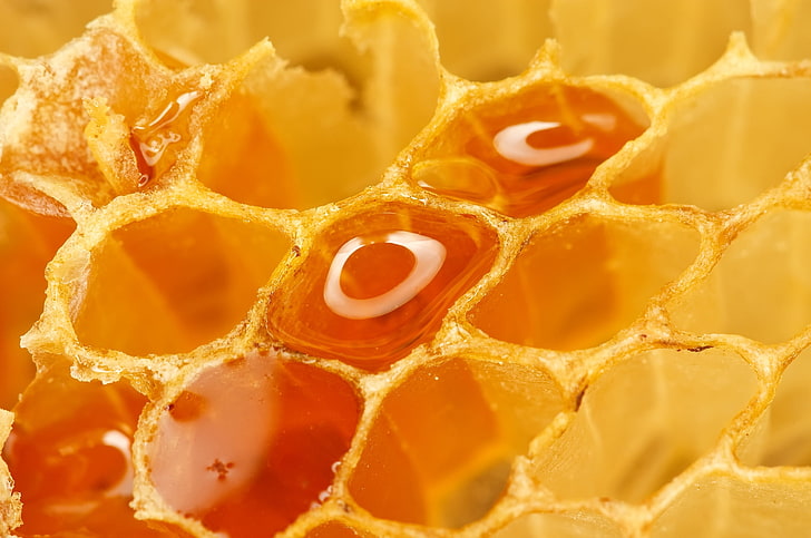 honey syrup, honeycombs, honey, macro, cells, HD wallpaper