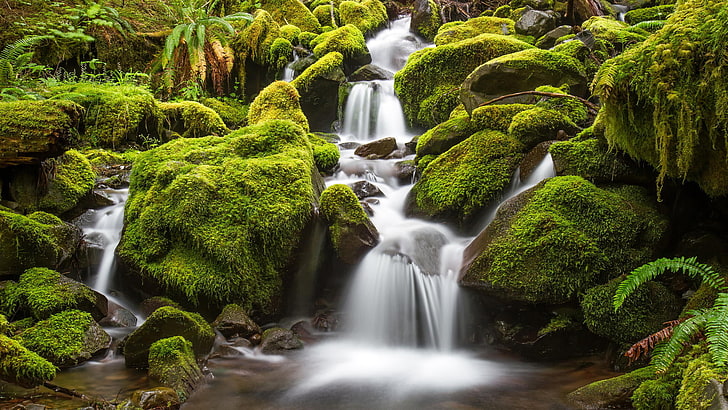 waterfall and rock monoliths, forest, river, stones, waterfall, moss, HD wallpaper