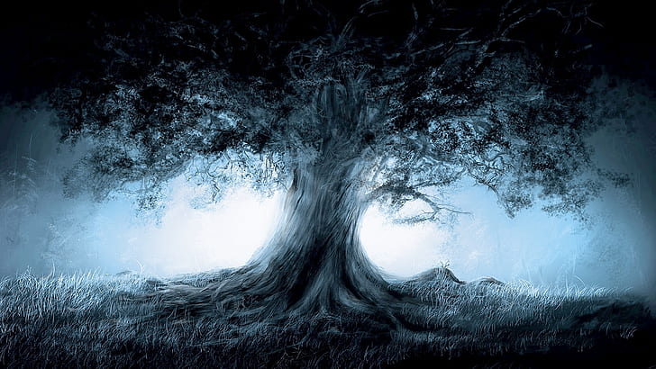 Древо жизни, дерево, тьма, небо, лес, HD обои