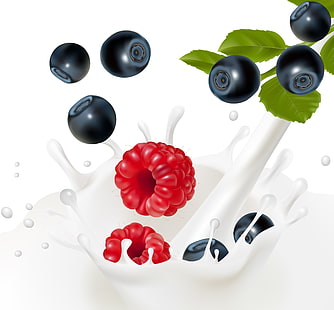 grafica di frutta lampone e mirtillo, schizzi, bacche, latte, mirtilli, foglie, Malinka, Sfondo HD HD wallpaper