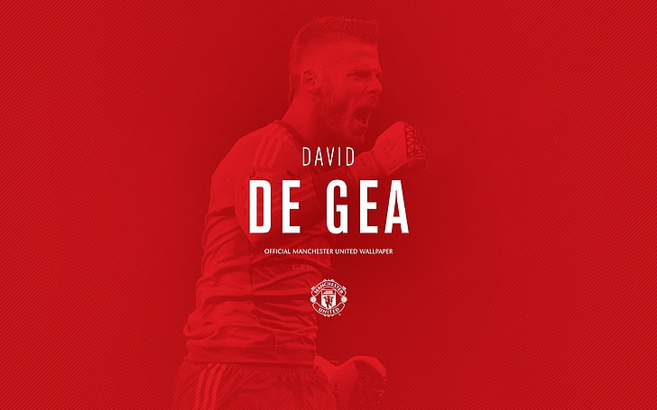 David de Gea-2016 Manchester United HD fondo de pantalla, David De Gea, Fondo de pantalla HD