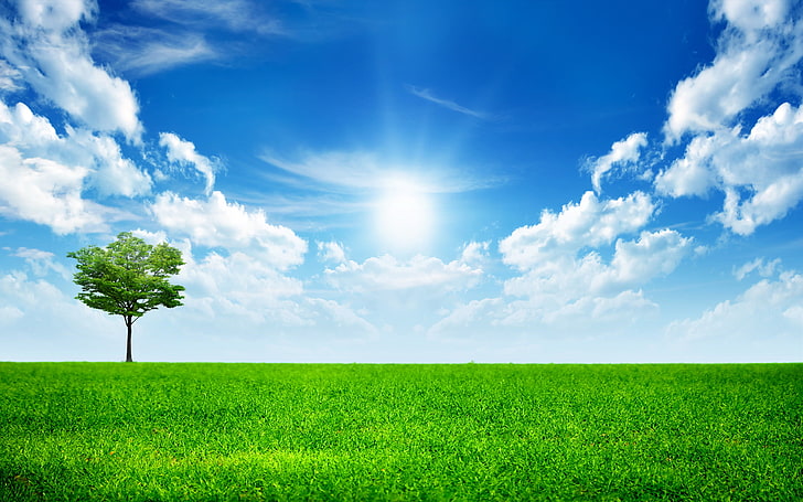 green green field digital wallpaper, the sky, grass, clouds, tree, green, sky, trees, landscape, All Alone In This World, the sun, HD wallpaper